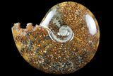 Polished, Agatized Ammonite (Cleoniceras) - Madagascar #97380-1